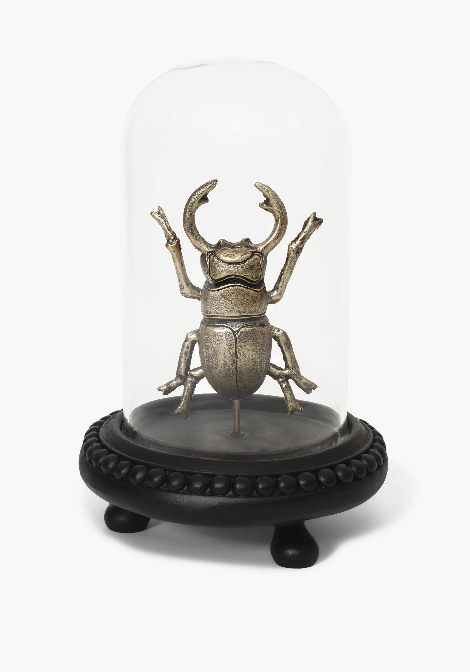 Lyra Bug in Jar - Image 2