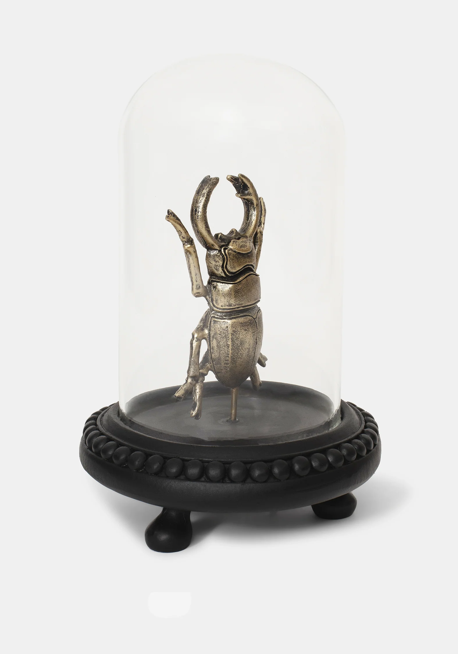 Lyra Bug in Jar - Image 4