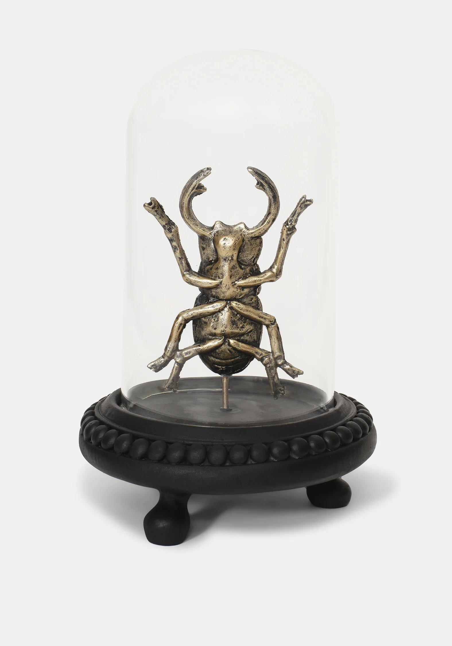 Lyra Bug in Jar - Image 5