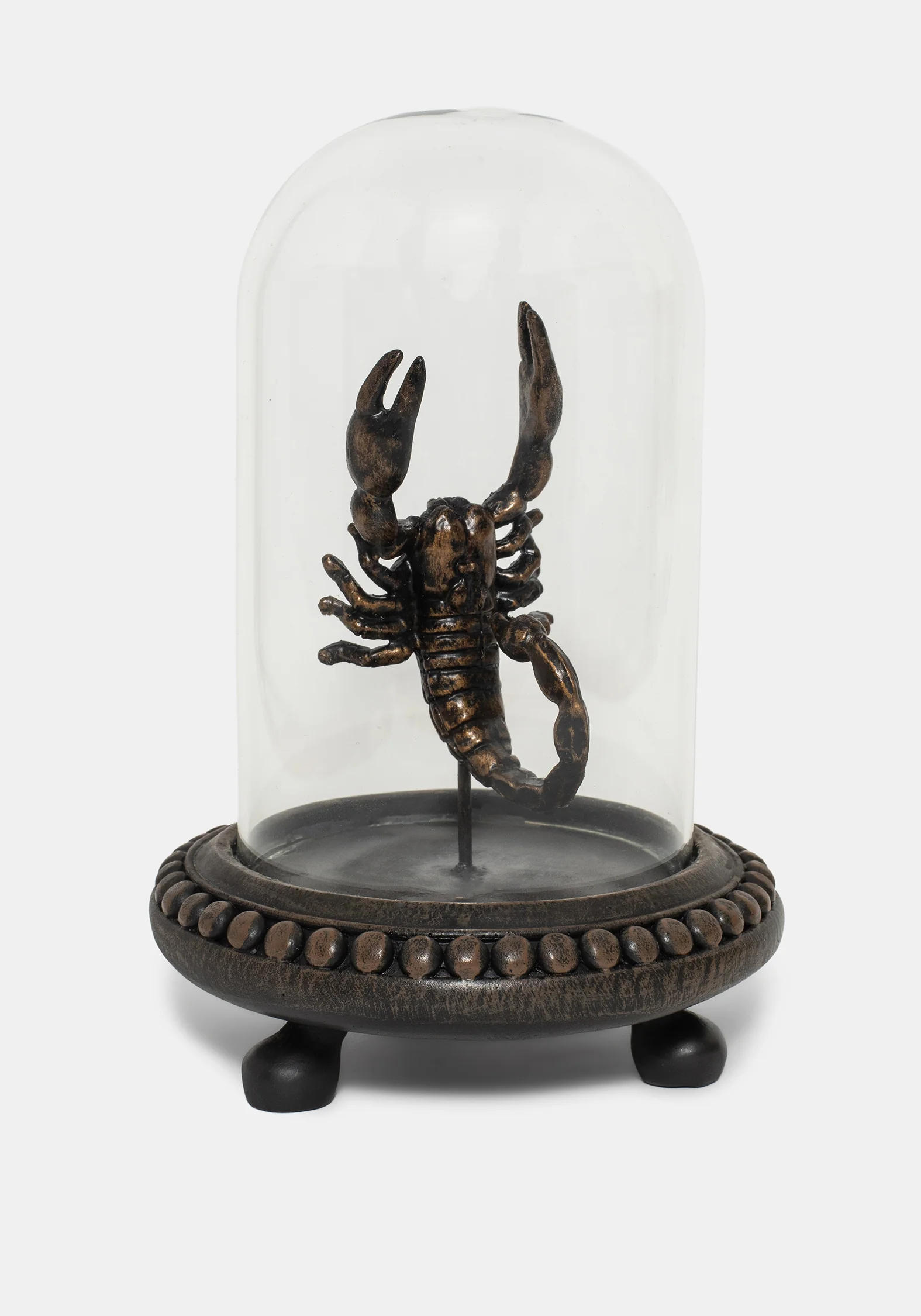 Skara Scorpion in Jar - Image 2