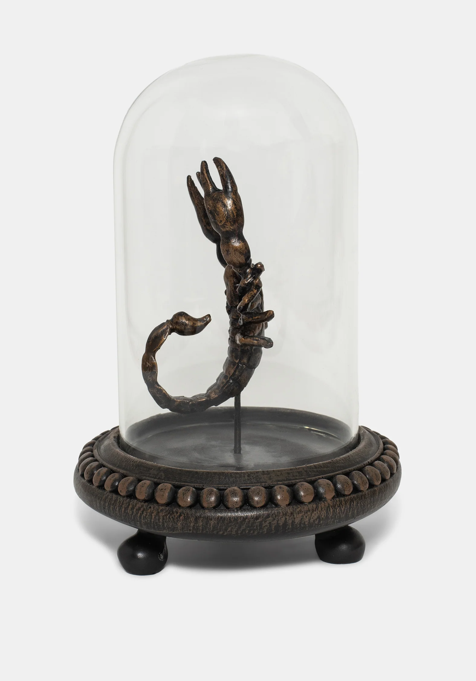 Skara Scorpion in Jar - Image 5